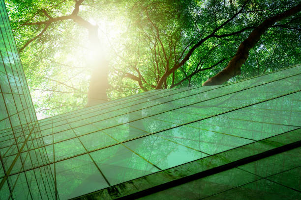 持続可能な緑の建物。環境にやさしい建物。二酸化炭素を削減するための木を備えた持続可能なガラスオフィスビル。グリーンな環境のオフィス。企業ビルはco2を削減します。安全ガラス。 - 脱炭素 ストックフォトと画像