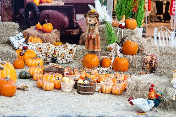 istock Photo of Pumpkin in a Patch 1437601360