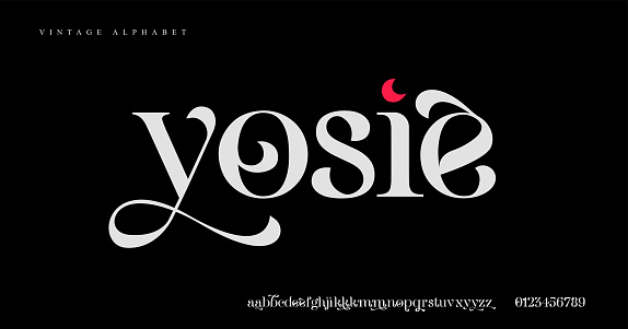 Elegant alphabet letters fonts and numbers. Classical minimal fashion design letters. Simple decorative vintage concept modern serif font typography. vector illustration