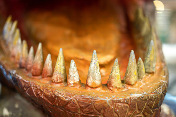 Spiky teeth of the dinosaur plaster model.