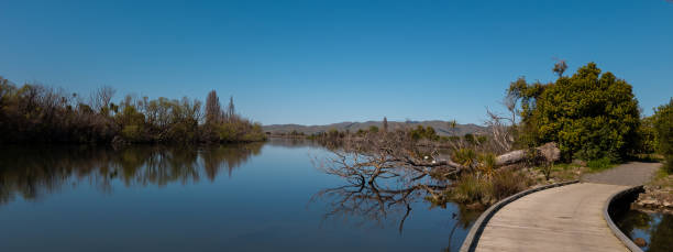 grovetown in marlborough neuseeland - marlborough region sunrise new zealand sea stock-fotos und bilder