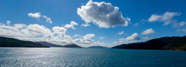 panorama von picton in neuseeland - marlborough region sunrise new zealand sea stock-fotos und bilder