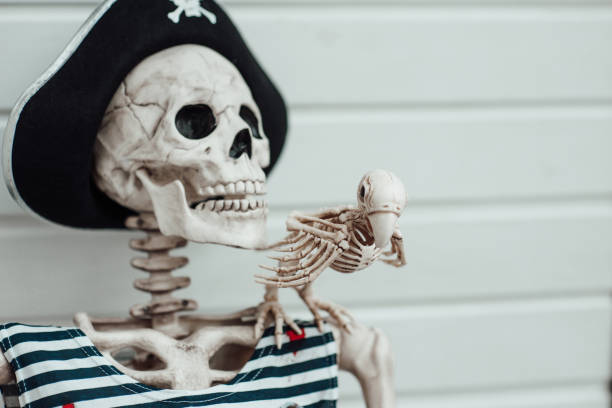 istock Halloween skeleton character in pirate costume with cocked hat black 1437626332