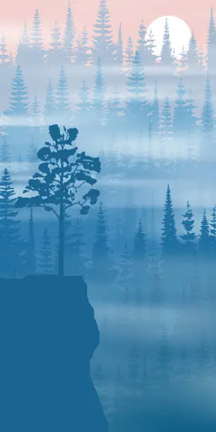 Vector illustration of Coniferous forest in the morning fog, vertical