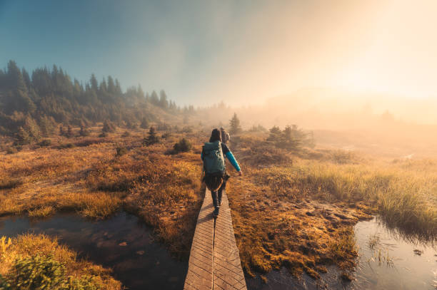 국립공원에서 햇살이 비치는 가을 숲에서 트레킹하는 등산객 그룹 - meadow autumn hiking mountain 뉴스 사진 이미지