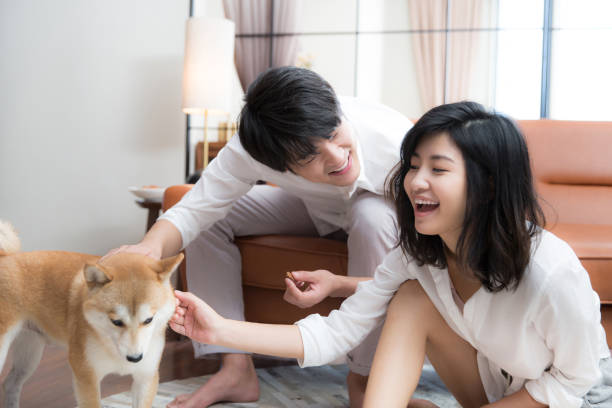Young East Asian couple playing and interacting with their pet dog on the living room couch - stock photo stock photo
