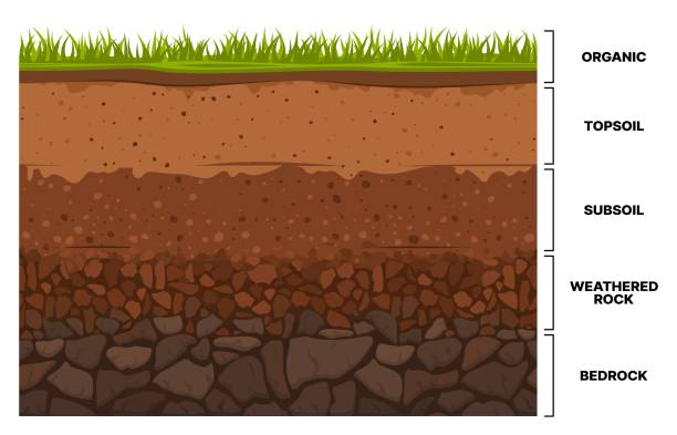 Soil layer infographics, earth subsoil texture Soil layer infographics, earth texture horizon, subsoil land and underground, vector cross section. Geology soil layer and ground structure diagram with organic topsoil, weathered rock and bedrock bedrock stock illustrations