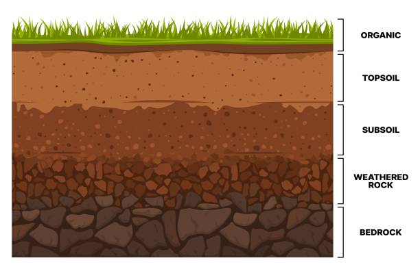 Soil layer infographics, earth subsoil texture Soil layer infographics, earth texture horizon, subsoil land and underground, vector cross section. Geology soil layer and ground structure diagram with organic topsoil, weathered rock and bedrock soil stock illustrations