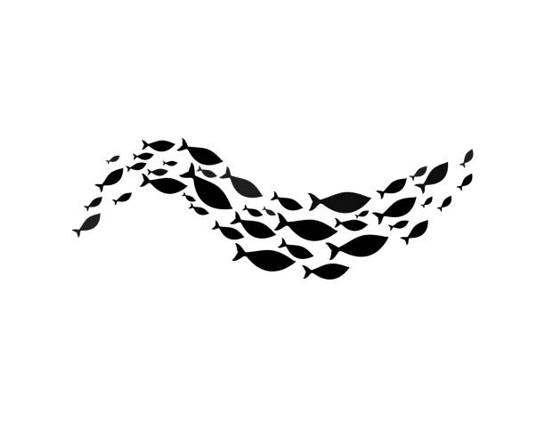 ilustrações de stock, clip art, desenhos animados e ícones de fish school or shoal silhouette, marine animals - tuna fish silhouette saltwater fish