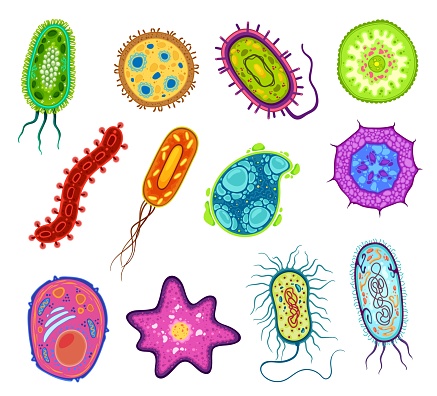 Protozoa, protista and amoeba microorganism cells, vector micro organism. Ameba and protist unicellular cells in lab microscope, protozoan eukaryotic organism types