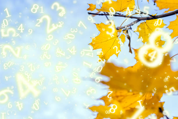 istock numerology, yellow maple leaves against the sky, surrounded by numbers 1437632498