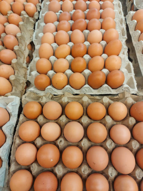 istock chicken eggs arranged on the place for sale 1437633798