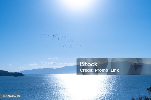 istock A flock of birds crosses the Seto Inland Sea 1437635218