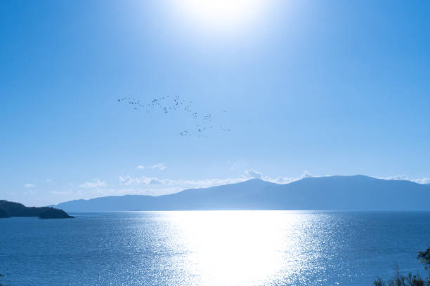 A flock of birds crosses the Seto Inland Sea stock photo