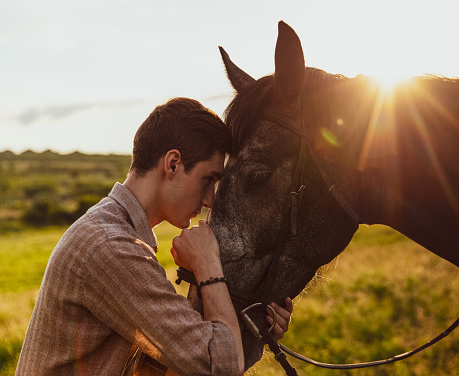 A young male hugging a horse in a field under the sunlight in the evening
