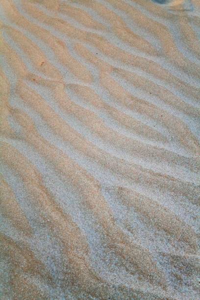istock Vertical shot of beach sand background high resolution texture 1437637969