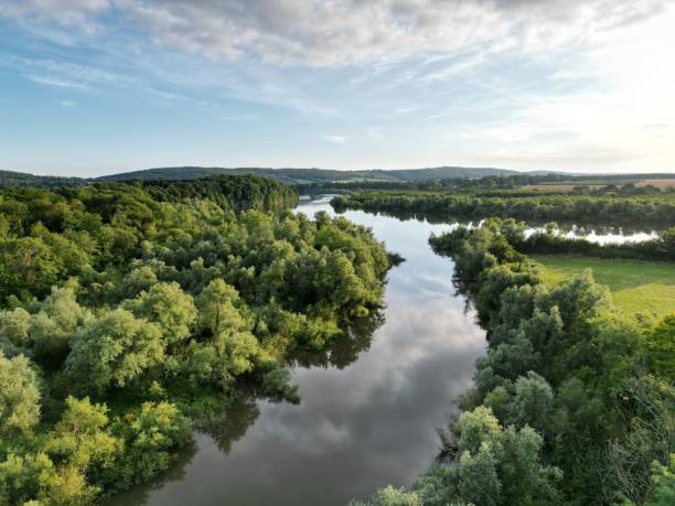 istock Meandering river in the forest in the daylight. View above from drone. 1437637990