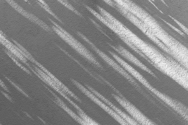 istock Shadow overlay effect for photo. Shadows from tree leaves and tropical branches on a white wall in sunlight. 1437639613
