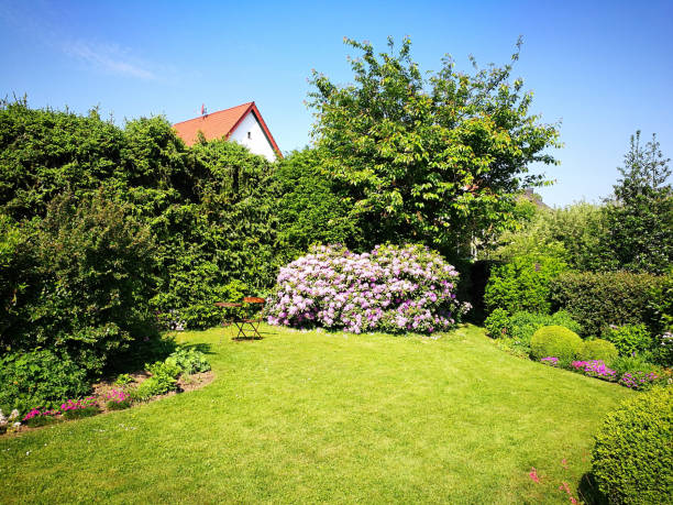 istock Beautiful scenery of a house with a nice garden surrounded by greenery 1437641466