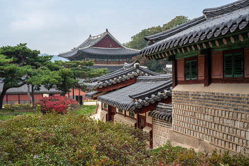 Changdeokgung royal palace of the Joseon dynasty in Autumn in Seoul South Korea on 23 October 2021