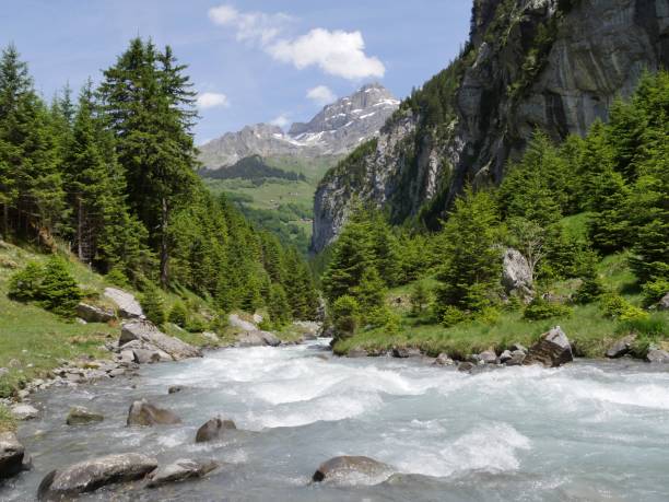 istock Beautiful view of a flowing river surrounded by trees and mountains under a cloudy blue sky 1437645862