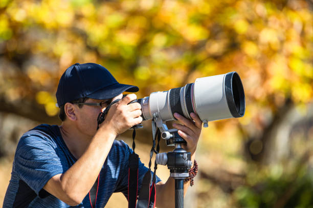 istock Young man using a DSLR camera in a forest in autumn 1437646908