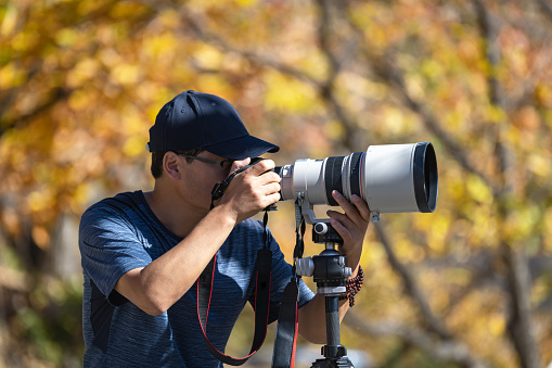 Young man using a DSLR camera in a forest in autumn
