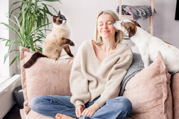 自宅でソファの上で彼女の犬と遊んで幸せな女性 - pets stroking licking love ストックフォトと画像