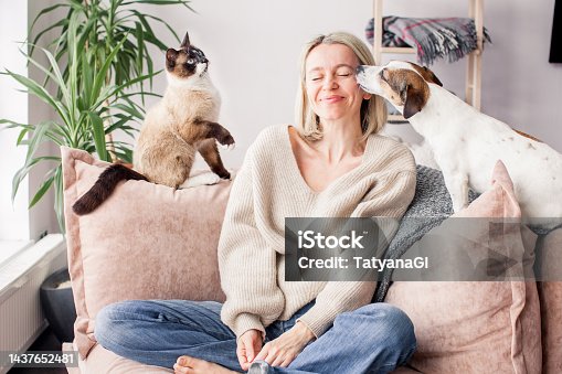 istock Happy woman playing with her dog on the couch at home 1437652481