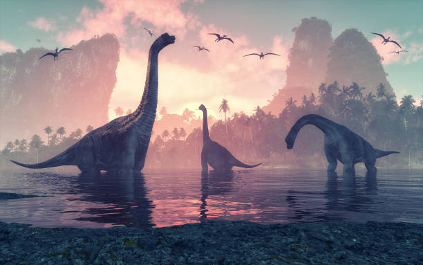 dinosauro brachiosaurus in acqua vicino a isole con palme. - diplodocus immagine foto e immagini stock