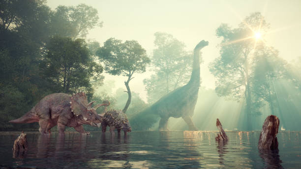 Brachiosaurus, ankylosaurus and triceratops in the valley at the lake. stock photo