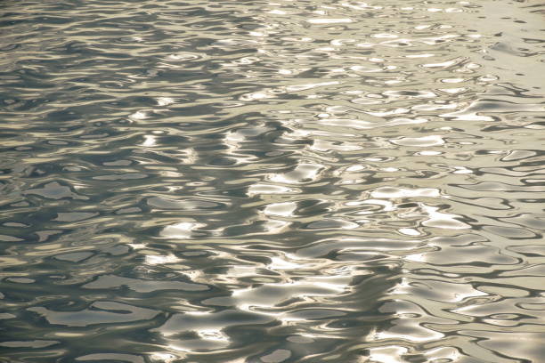 istock wave on water surface on sea in sunset background and texture 1437658889