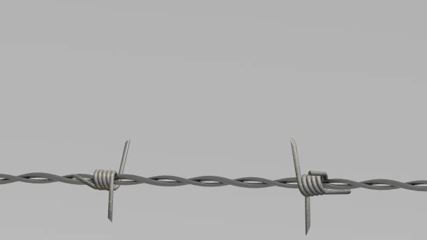 istock Barbed wire on a gray background. 3d render with barbed wire. Border protection. Barbed wire fence. Background images with metal wire. The concept of imprisonment or protection of territories. 1437661274
