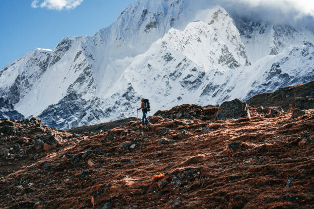 istock Professional expeditor with trekking sticks and traveling backpack going by mountains tack. Solo tourist hiking across high snowy mountain 1437663241