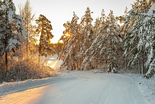 A beautiful scenery of a road in a forest covered in white snow at sunset in winter
