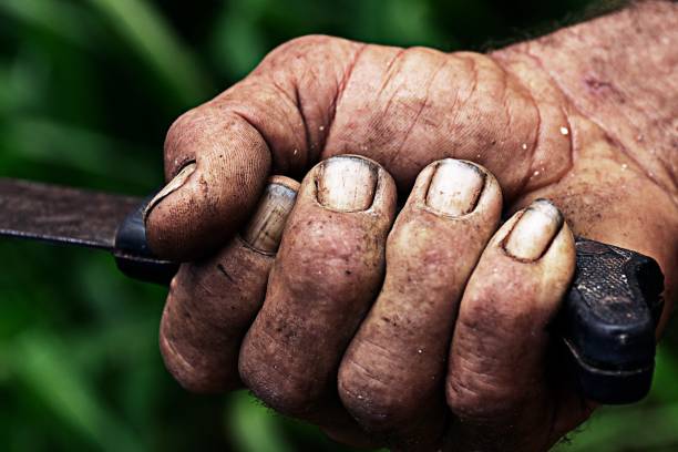 Closeup shot of an old farmers dirty hand gripping a tool handle A closeup shot of an old farmers dirty hand gripping a tool handle dirty hands stock pictures, royalty-free photos & images
