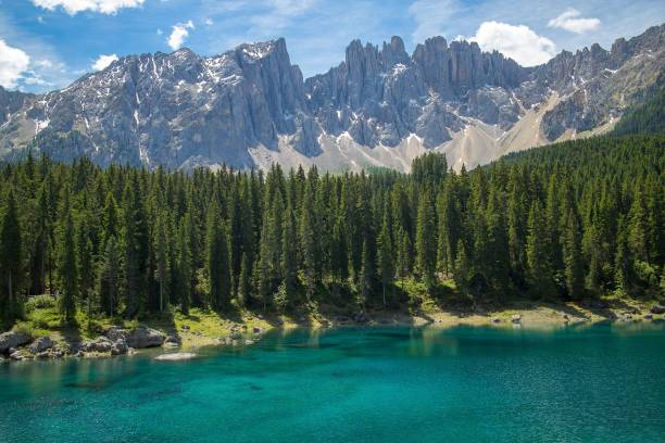 piękne ujęcie pasma górskiego latemar z sosnami i jeziorem carezza na pierwszym planie - latemar mountain range zdjęcia i obrazy z banku zdjęć