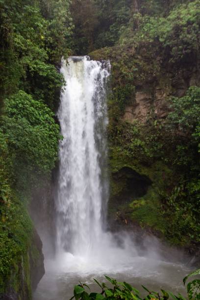 istock Waterfall in the forest in Costa Rica, Central America 1437667633