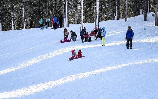 Reno, Nevada, United States – December 17, 2019: The smooth slopes of Mt Rose make a popular sledding location for Reno and Lake Tahoe residents during the winter months.