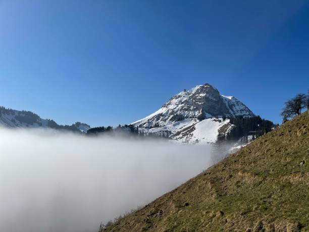 Photo of Snow-peaked mountain surrounded by a fog visible from behind a green hill