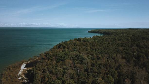 istock Aerial view of a dramatic forest by a turquoise ocean 1437667724