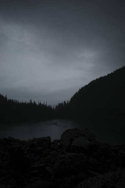 Vertical grayscale shot of mountains with dense forest coverage surrounding a lake