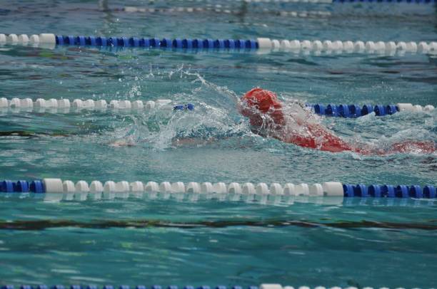 istock In the pool during a swim competition 1437667898