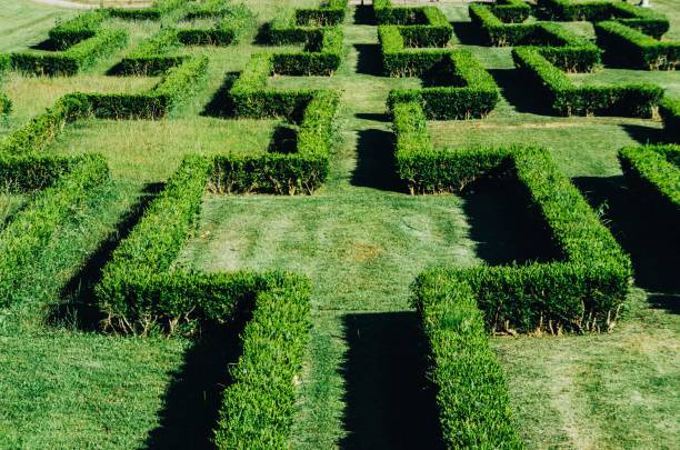 istock High angle shot of a labyrinth made from green bushes 1437668062