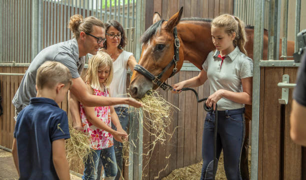 마구간에서 갈색 말을 쓰다듬는 슬로베니아 가족의 클로즈업 샷 - horse child animal feeding 뉴스 사진 이미지