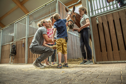 A closeup shot of a Slovenian family petting a brown horse in a stall