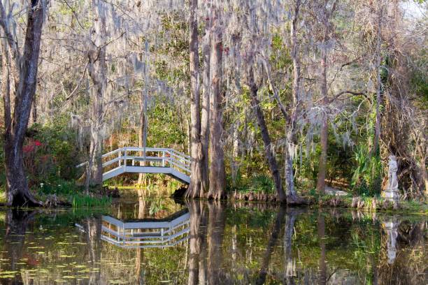 istock Small cute white bridge on a pond surrounded by woods and vegetation 1437668944
