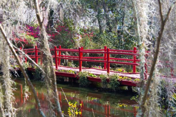 istock Bridge with red design on a pond surrounded by trees and vegetation 1437668958