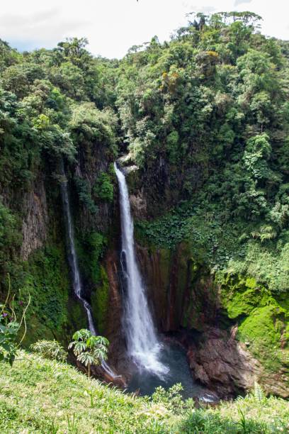 istock Waterfall in the forest in Costa Rica, Central America 1437669252