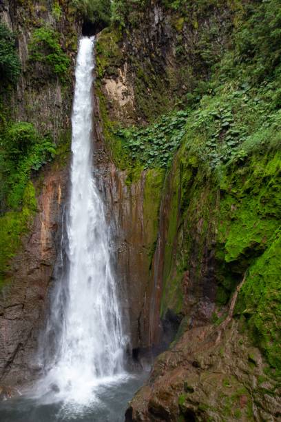 istock Waterfall in the forest in Costa Rica, Central America 1437669266